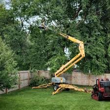  Warrenton, VA Tree Services Pros